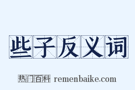 些子反义词是什么意思的图片